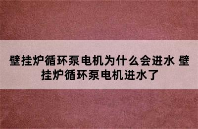 壁挂炉循环泵电机为什么会进水 壁挂炉循环泵电机进水了